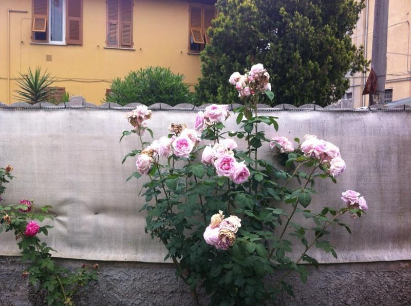 Solemare House Nearby Cinqueterre Villa La Spezia Room photo